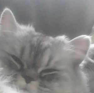 Meet your Posher, Esther